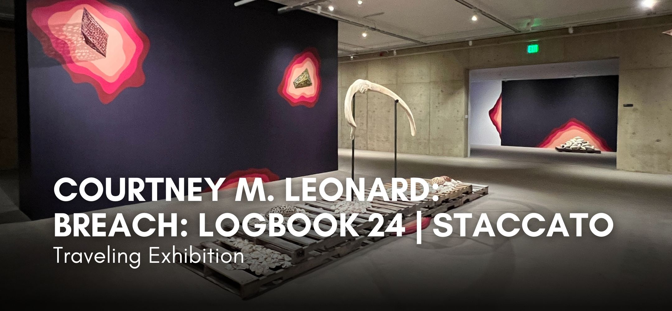COURTNEY M. LEONARD | BREACH: LOGBOOK 24 | STACCATO
