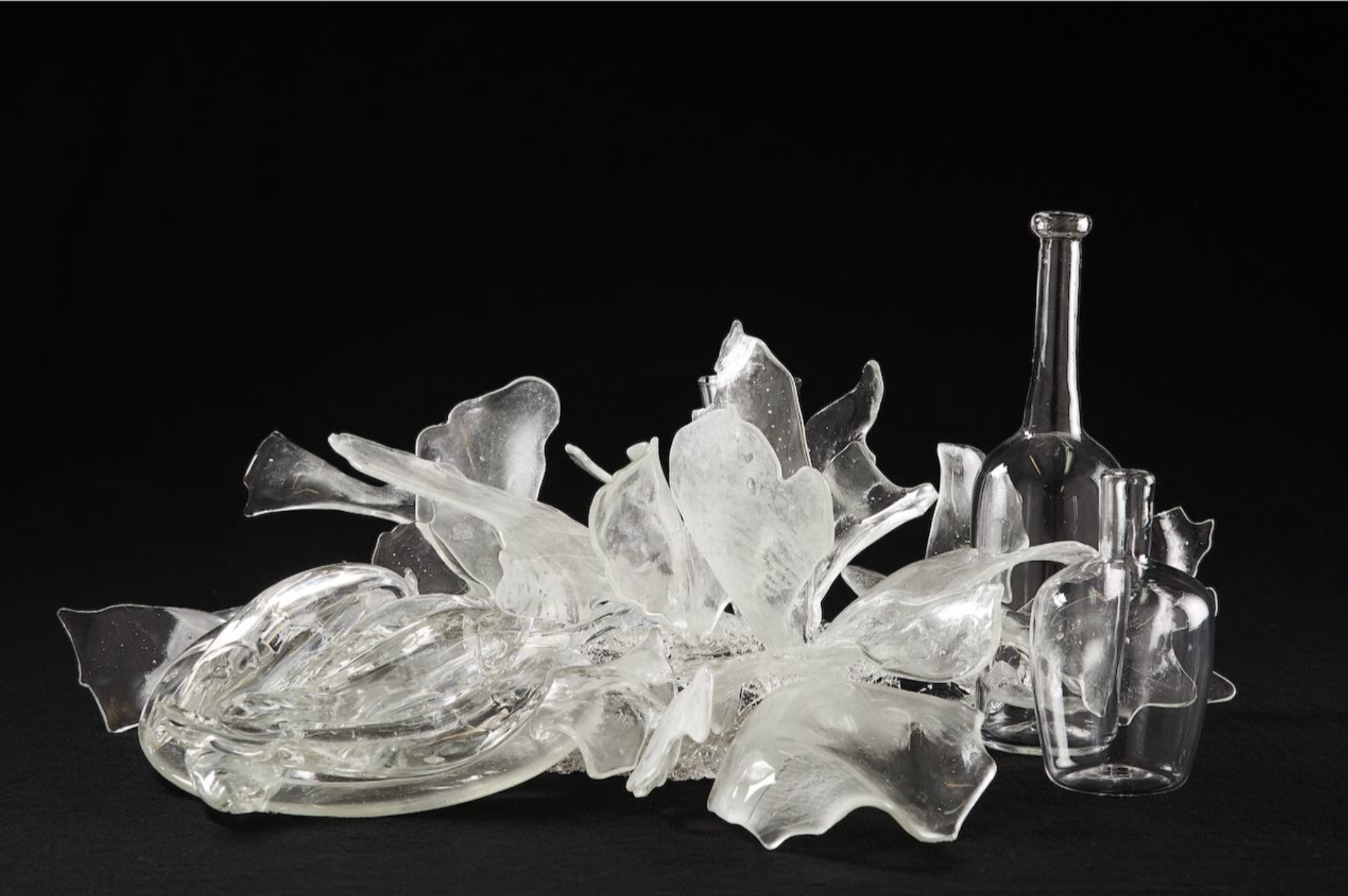 BETH LIPMAN in: Vanishing Ecologies: Speculative Futures