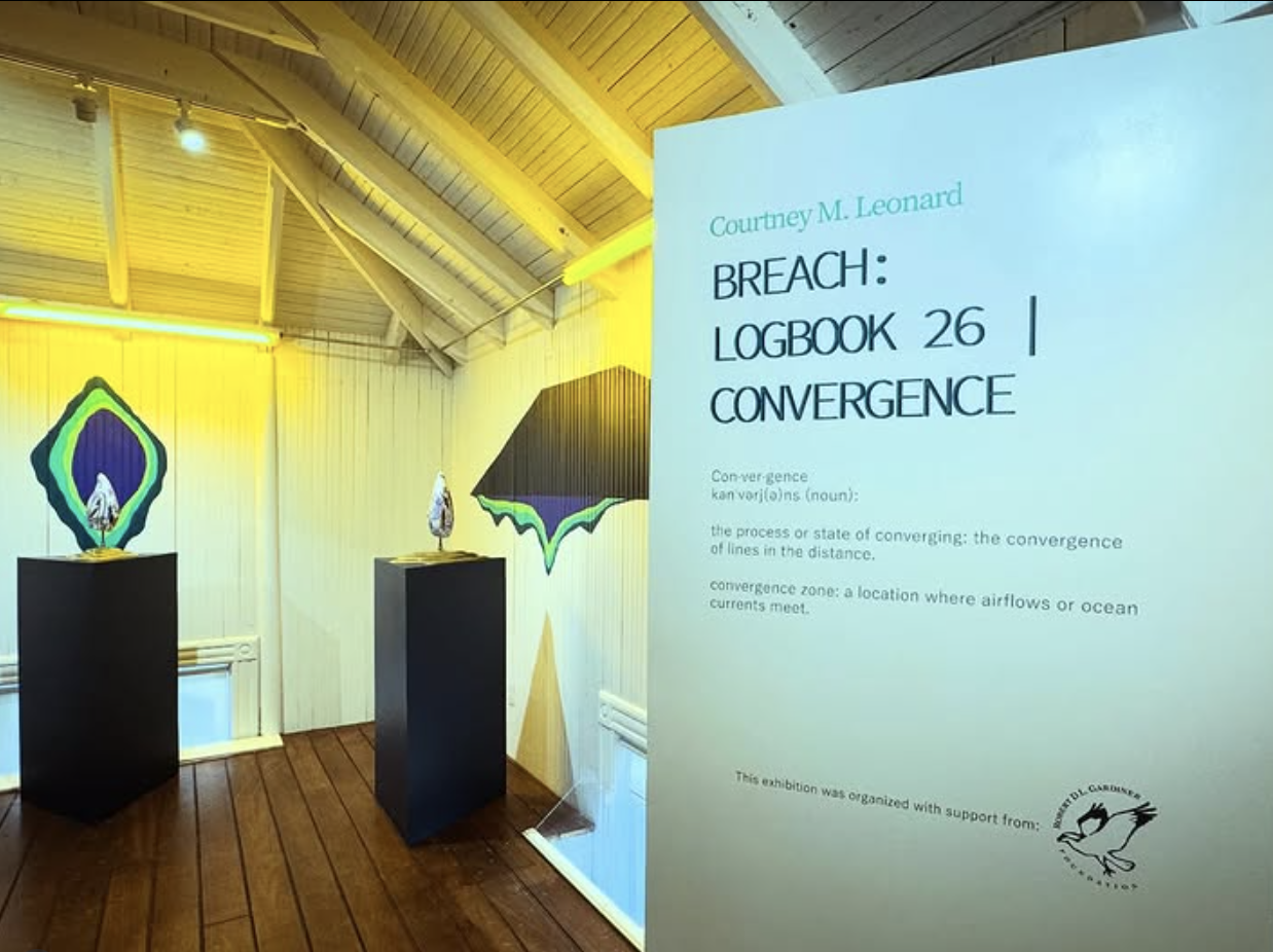 COURTNEY M. LEONARD: BREACH: Logbook 26 | Convergence